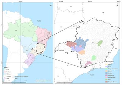 Brazilian Artisanal Cheeses: Diversity, Microbiological Safety, and Challenges for the Sector